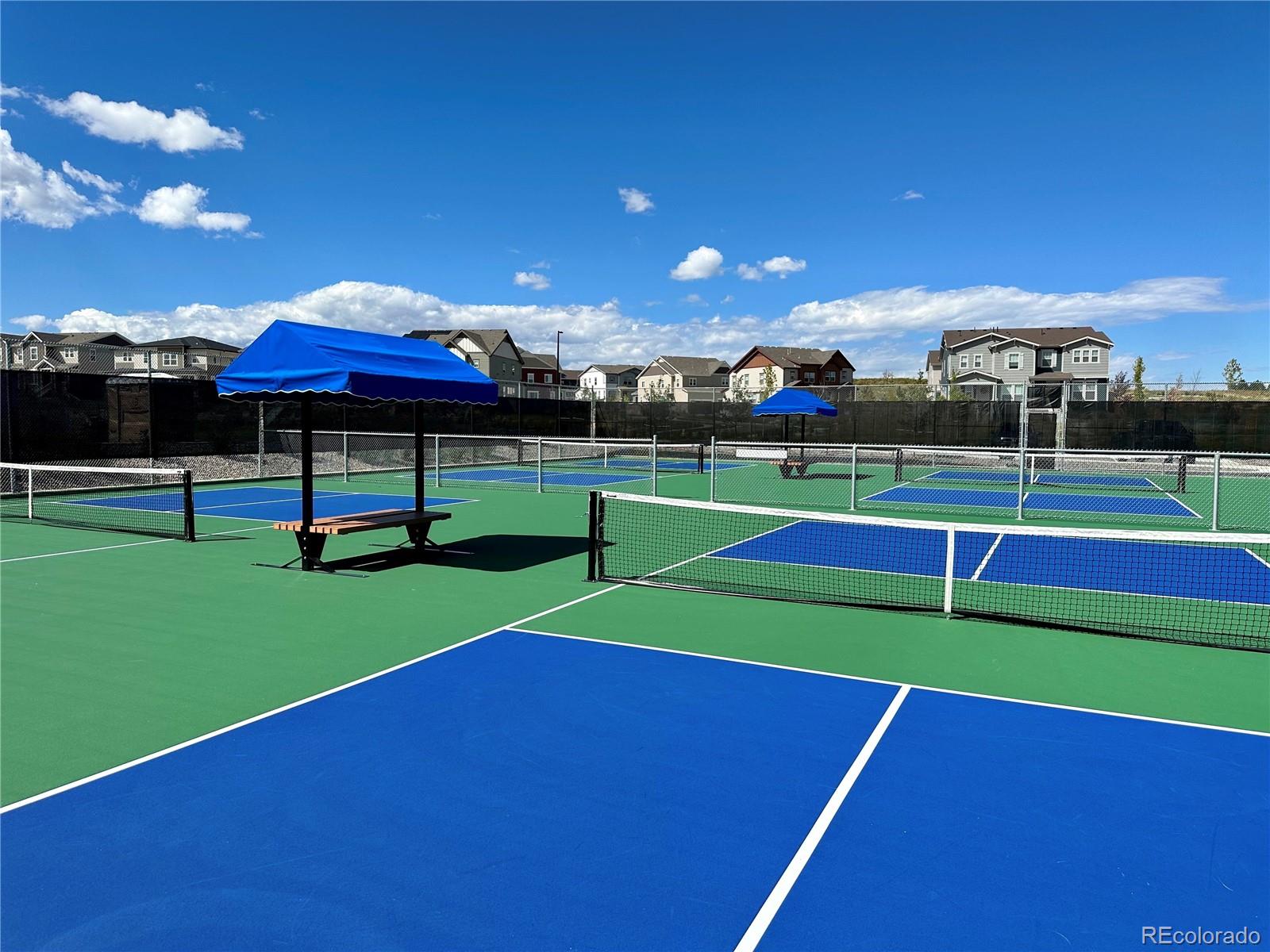 13998 Shasta Daisy Street