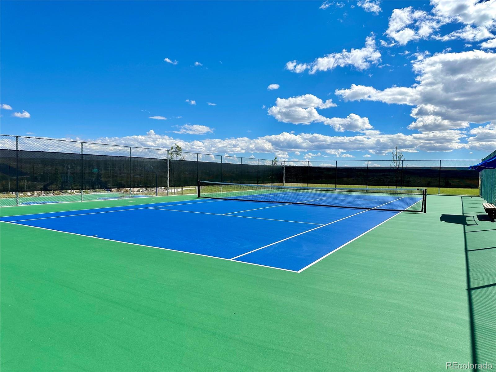 13998 Shasta Daisy Street