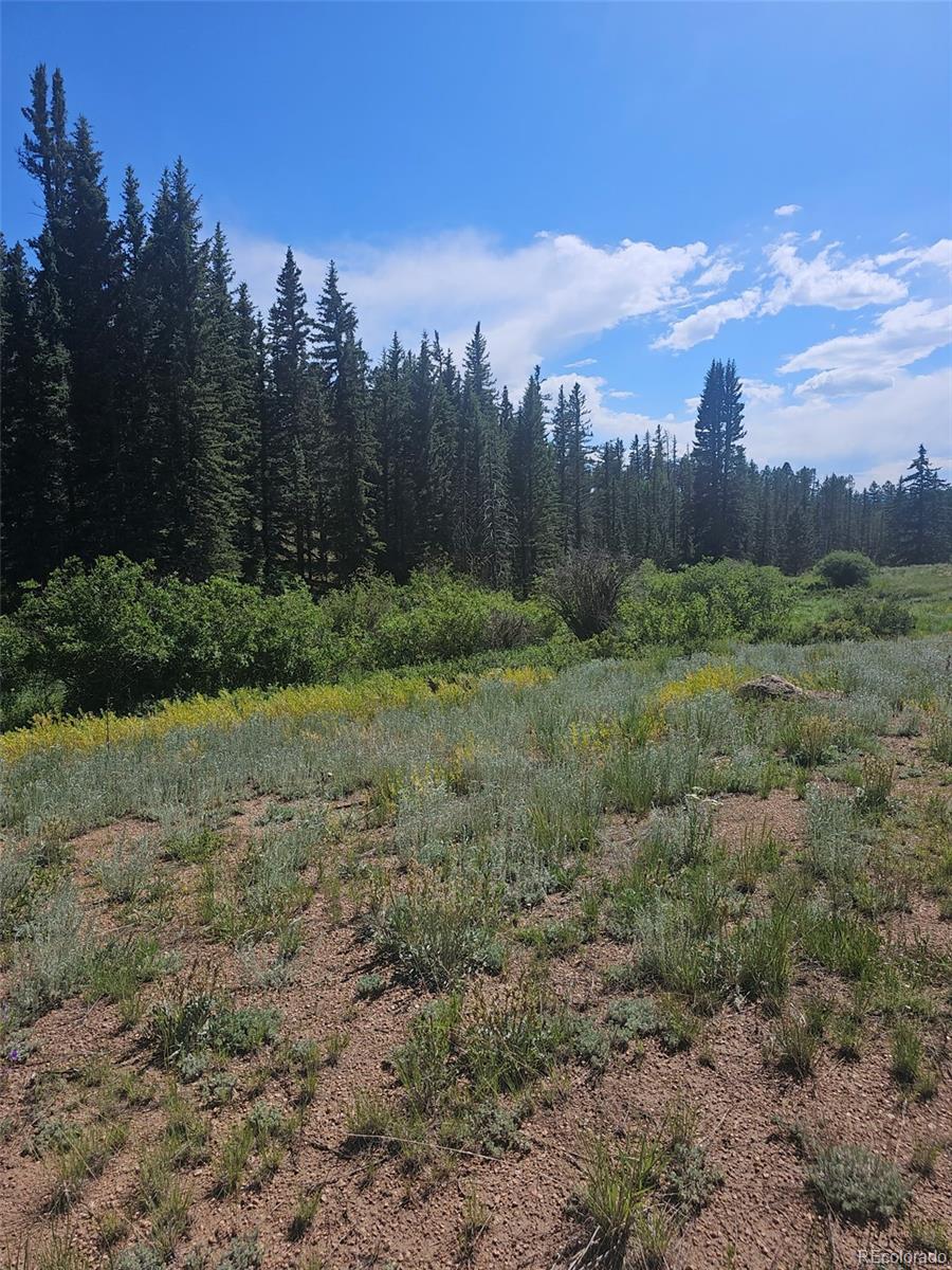 1164 Arapahoe Creek Trail