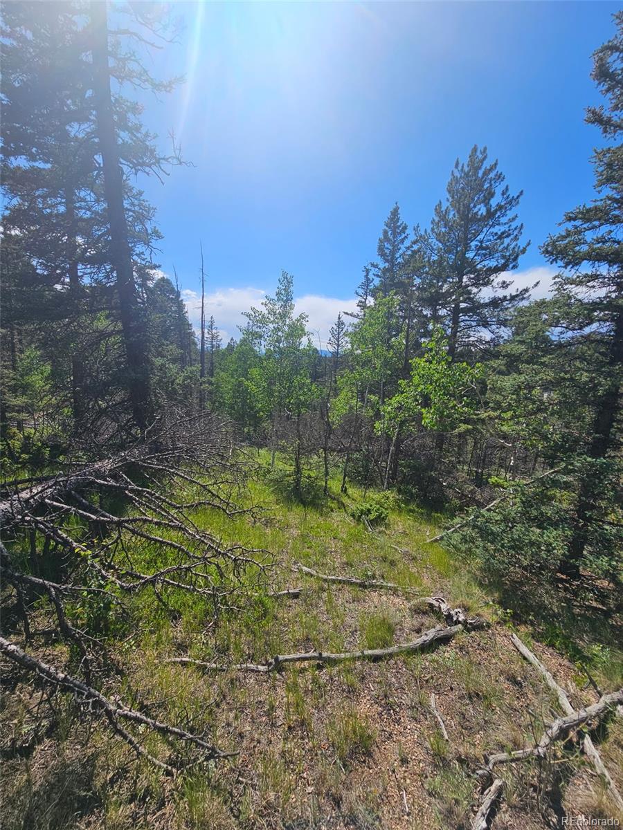1164 Arapahoe Creek Trail