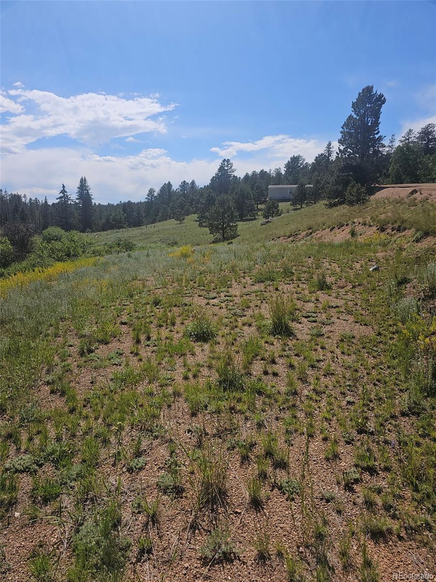 1164 Arapahoe Creek Trail