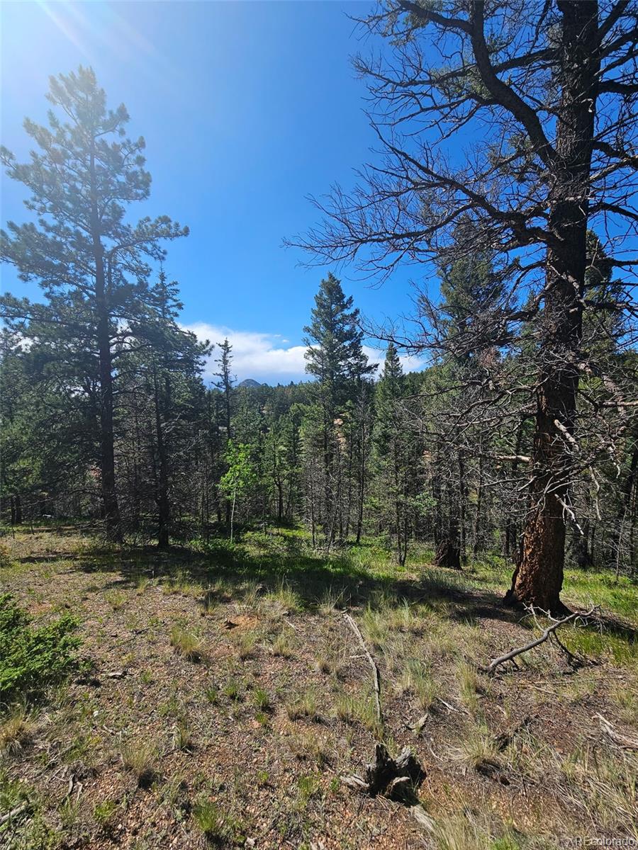 1164 Arapahoe Creek Trail