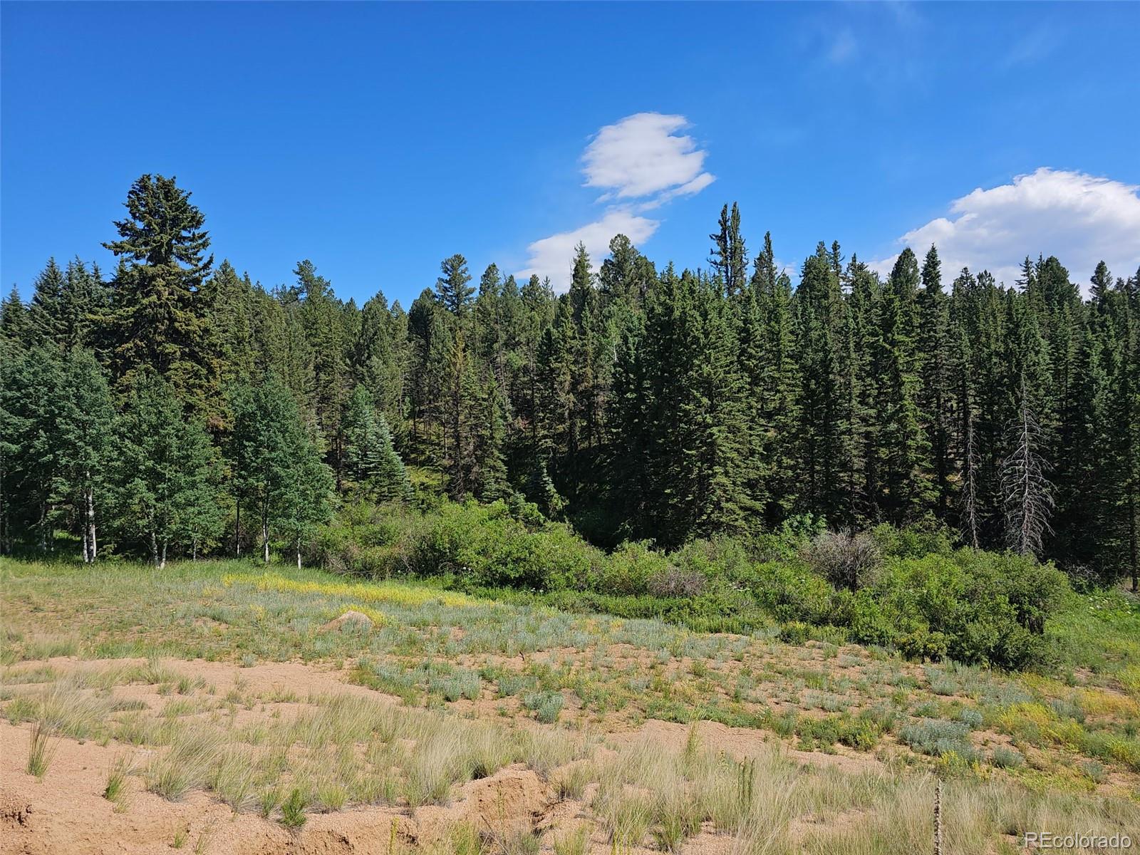 1164 Arapahoe Creek Trail