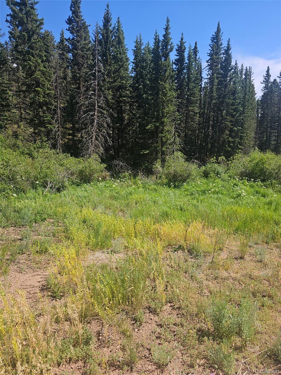 1164 Arapahoe Creek Trail