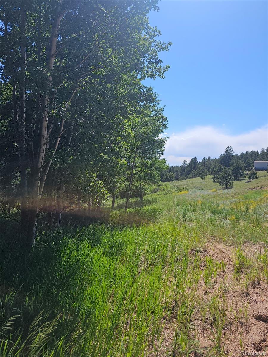 1164 Arapahoe Creek Trail