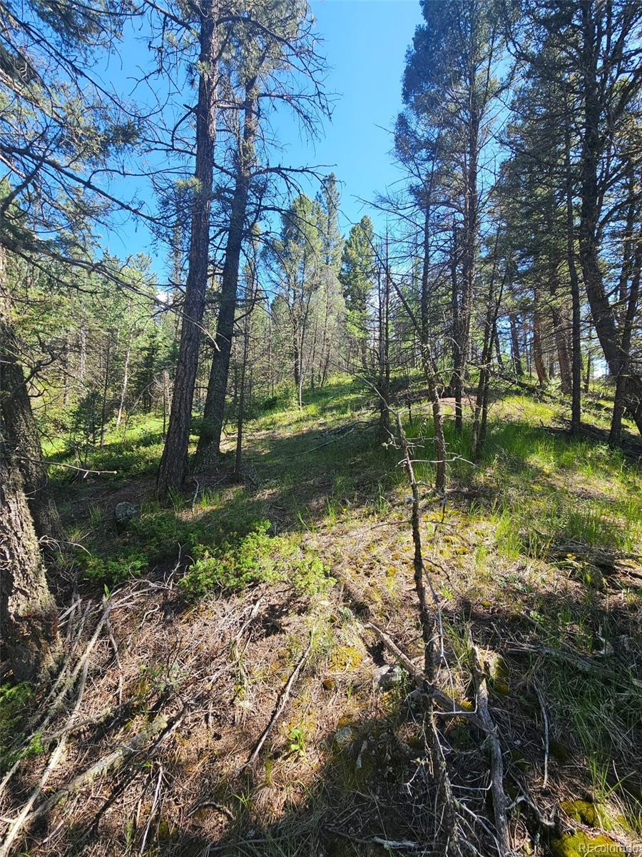 1164 Arapahoe Creek Trail