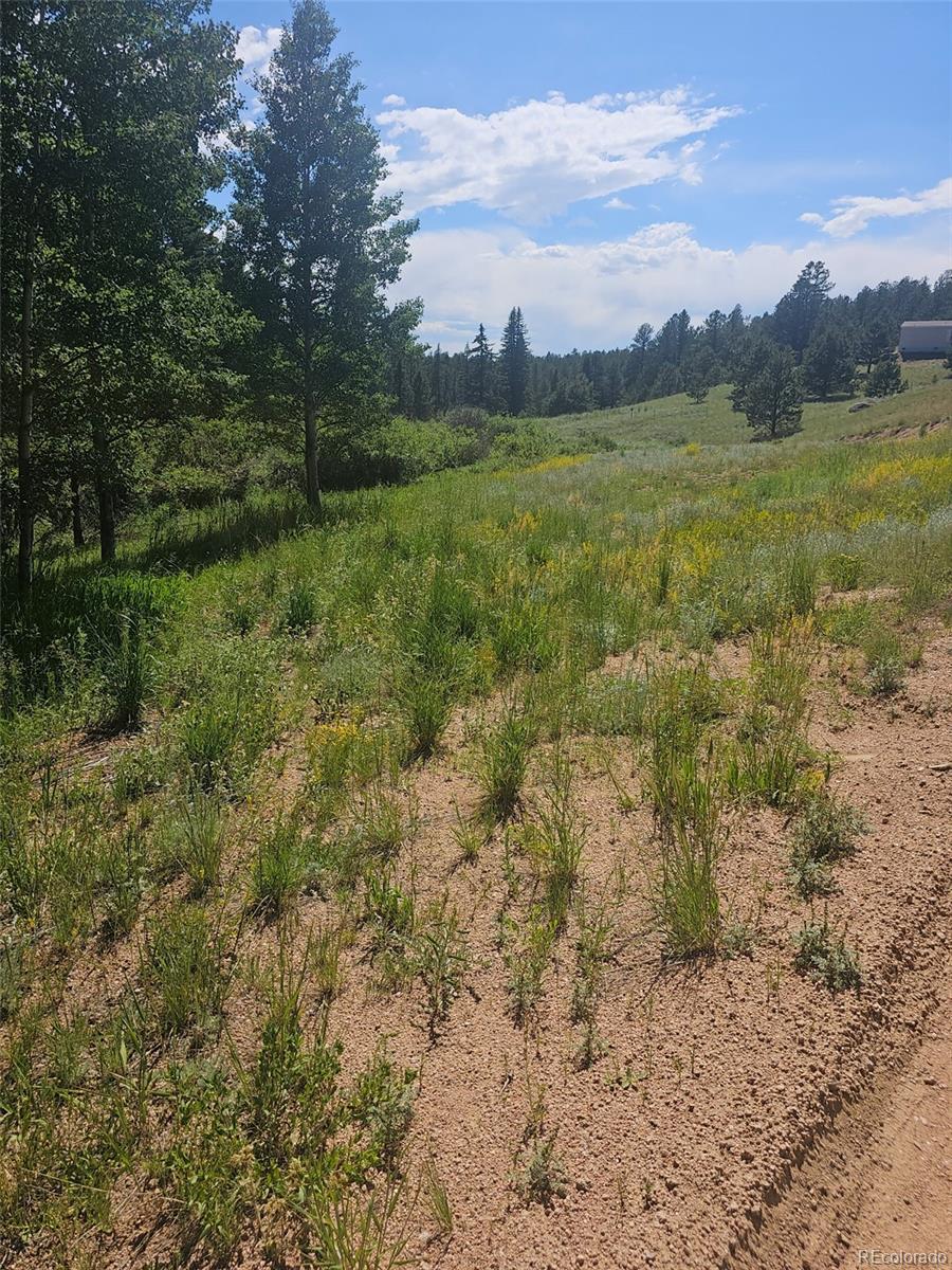 1164 Arapahoe Creek Trail