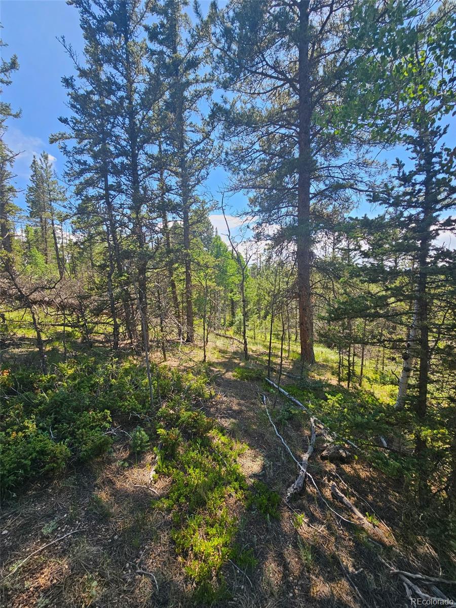 1164 Arapahoe Creek Trail