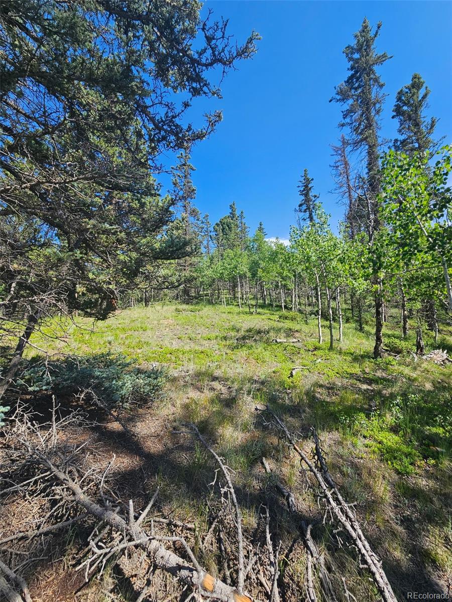 1164 Arapahoe Creek Trail