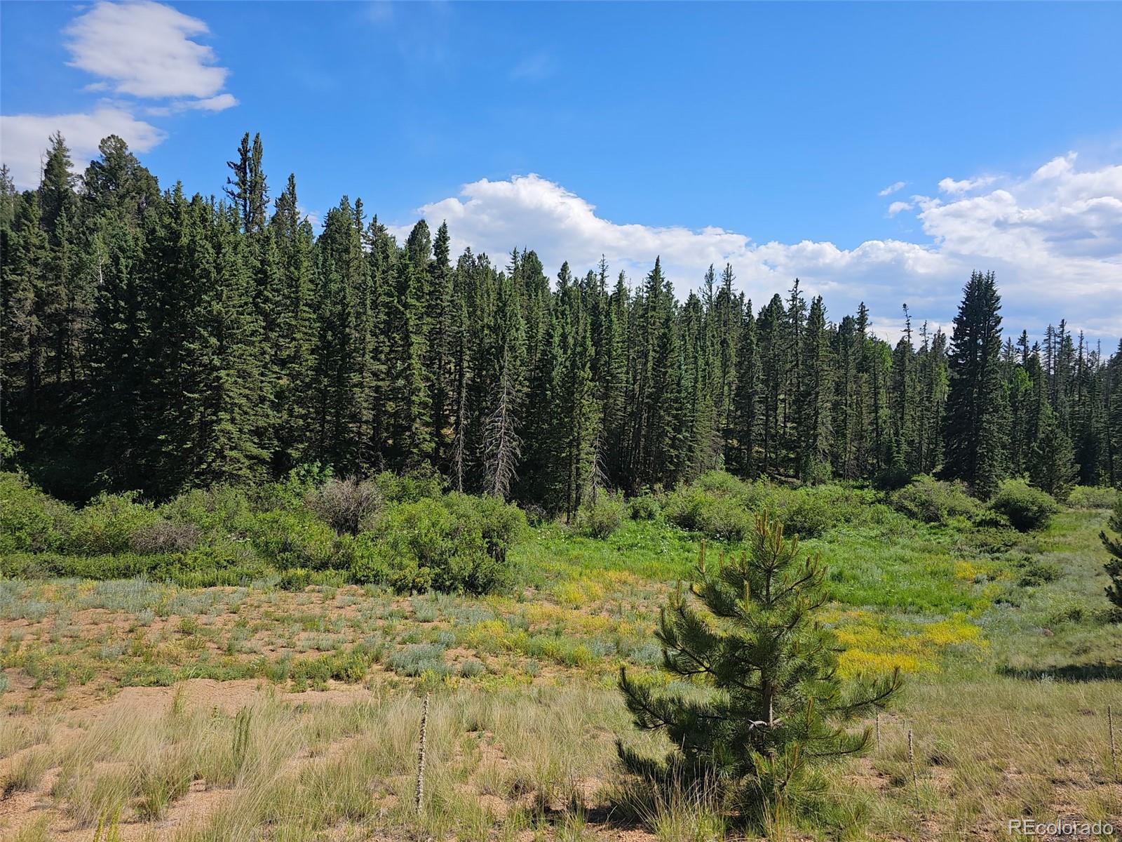 1164 Arapahoe Creek Trail