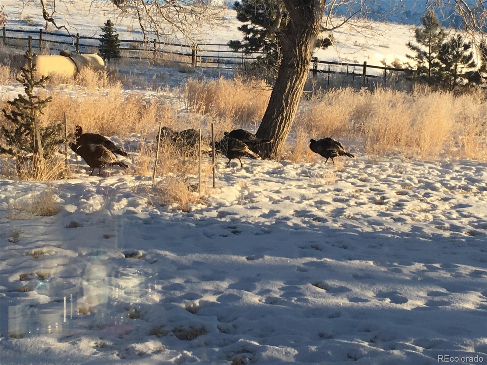 54400 County Road Ll56 North