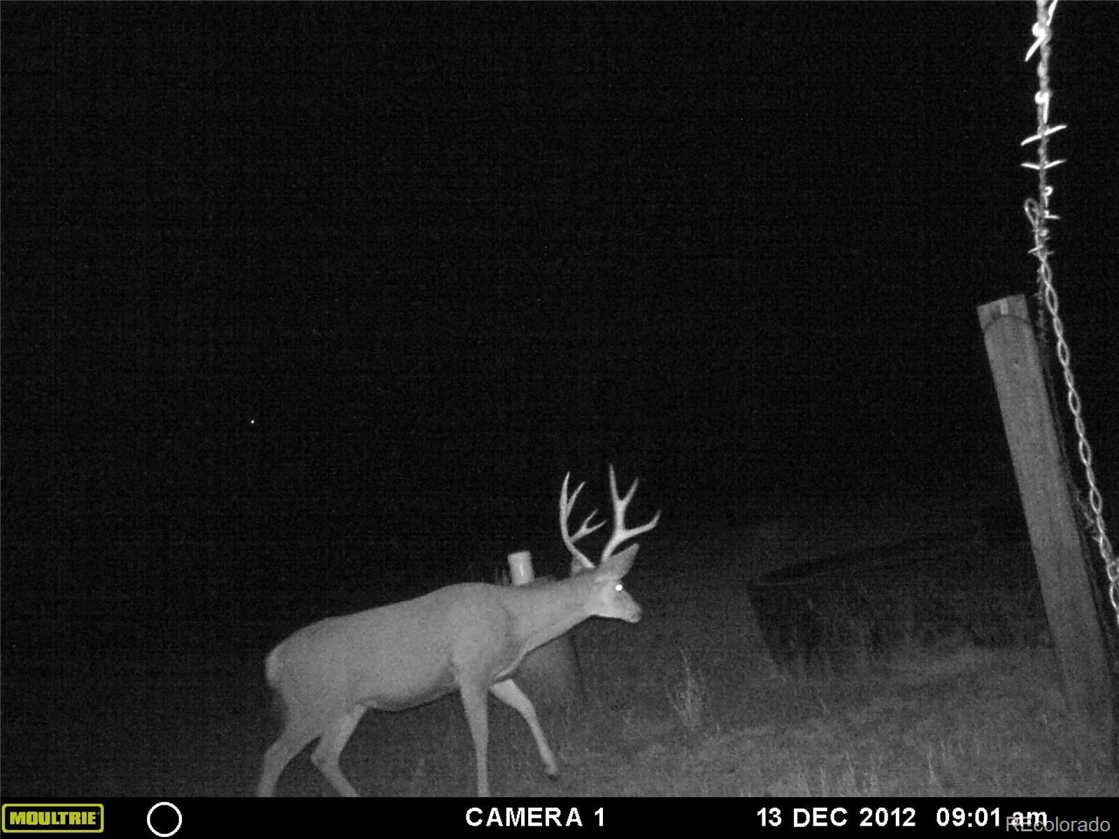 54400 County Road Ll56 North