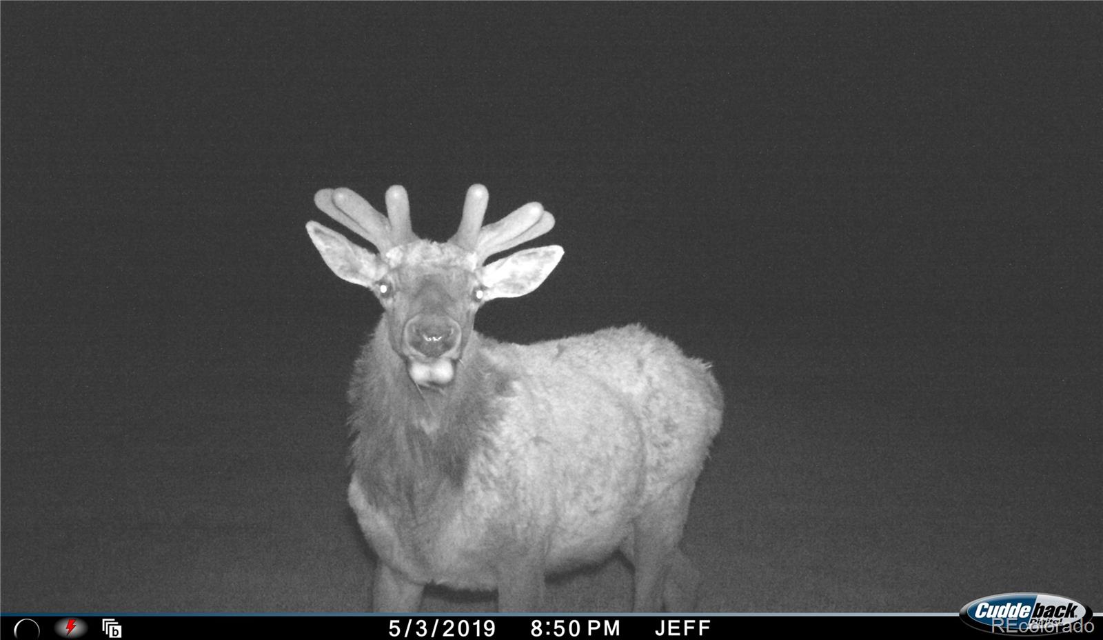 54400 County Road Ll56 North