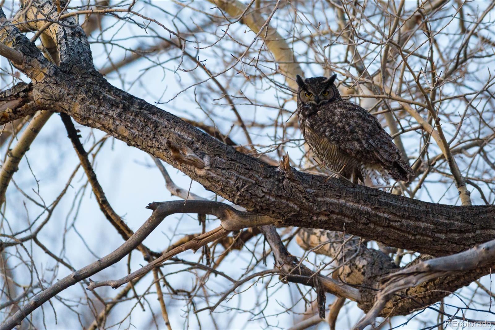 54400 County Road Ll56 North