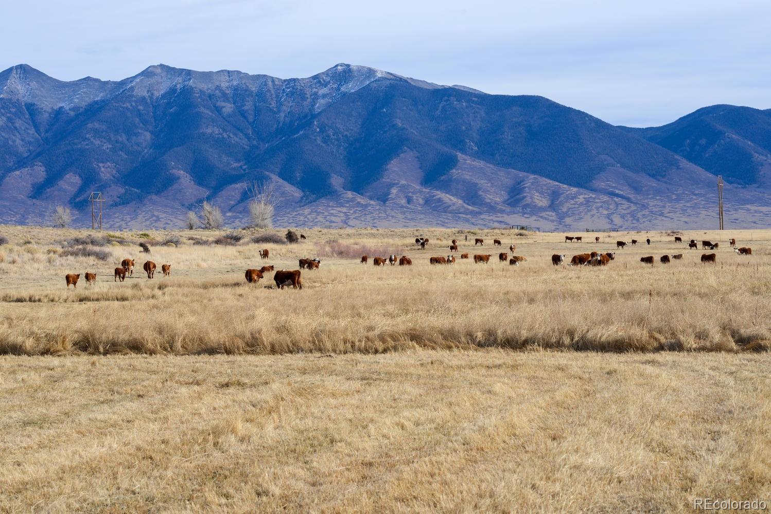 54400 County Road Ll56 North