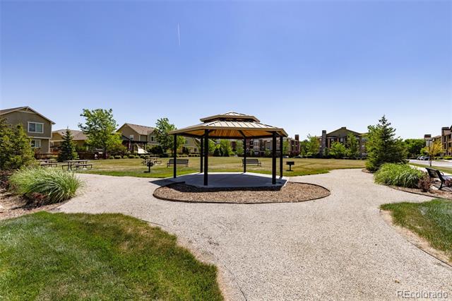 15446 Coopers Hawk Way