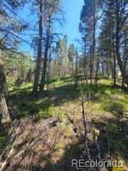 1164 Arapahoe Creek Trail
