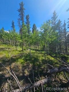 1164 Arapahoe Creek Trail