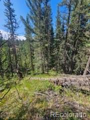1164 Arapahoe Creek Trail