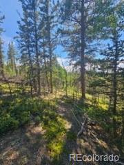 1164 Arapahoe Creek Trail