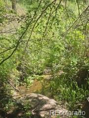 1164 Arapahoe Creek Trail