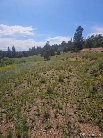 1164 Arapahoe Creek Trail