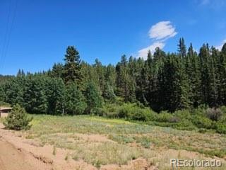 1164 Arapahoe Creek Trail