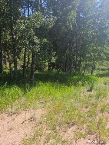1164 Arapahoe Creek Trail