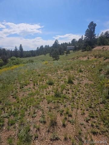 1164 Arapahoe Creek Trail