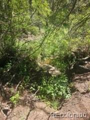 1164 Arapahoe Creek Trail