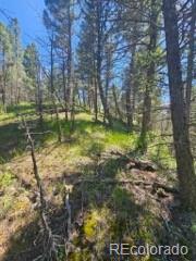 1164 Arapahoe Creek Trail