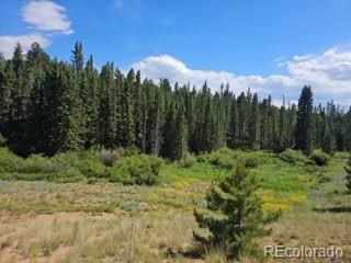 1164 Arapahoe Creek Trail