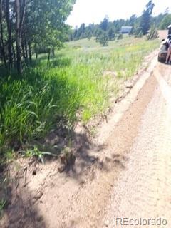 1164 Arapahoe Creek Trail