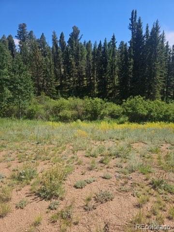 1164 Arapahoe Creek Trail