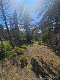 1164 Arapahoe Creek Trail