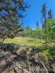 1164 Arapahoe Creek Trail