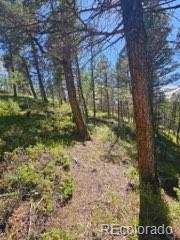 1164 Arapahoe Creek Trail