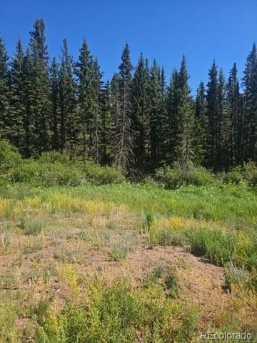 1164 Arapahoe Creek Trail