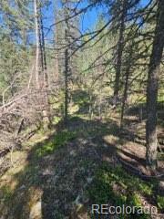 1164 Arapahoe Creek Trail