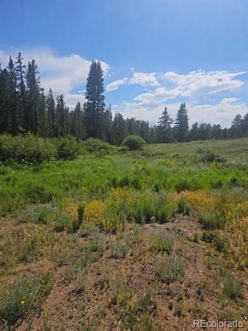 1164 Arapahoe Creek Trail