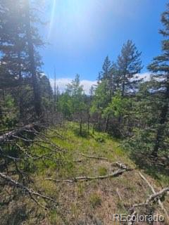 1164 Arapahoe Creek Trail