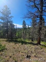 1164 Arapahoe Creek Trail