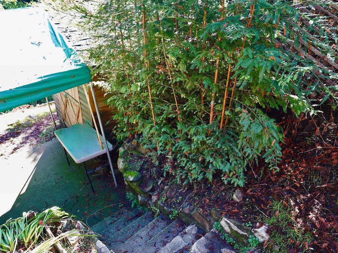 425 Valley View Avenue