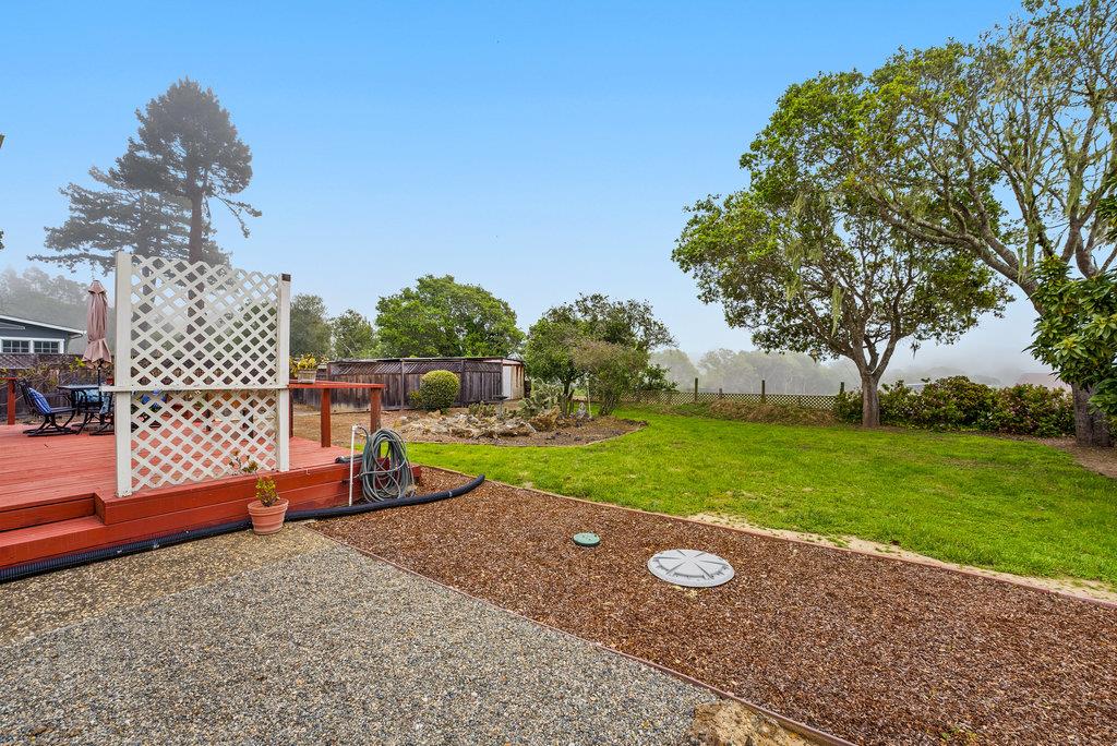 95 Alta Drive