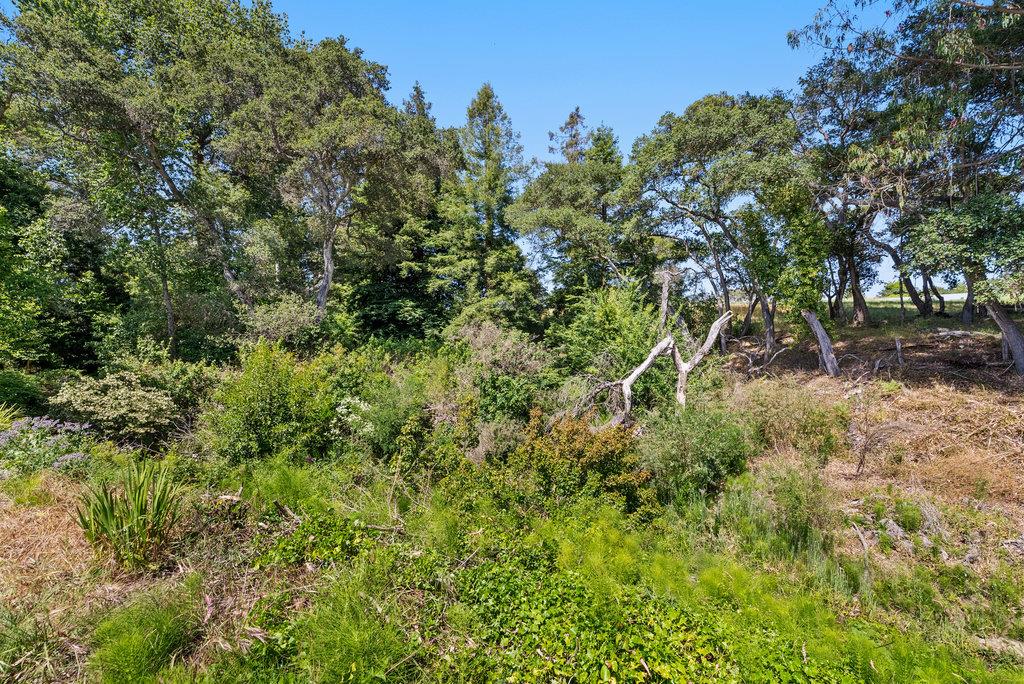 11 Del Rio Circle Unit: 11