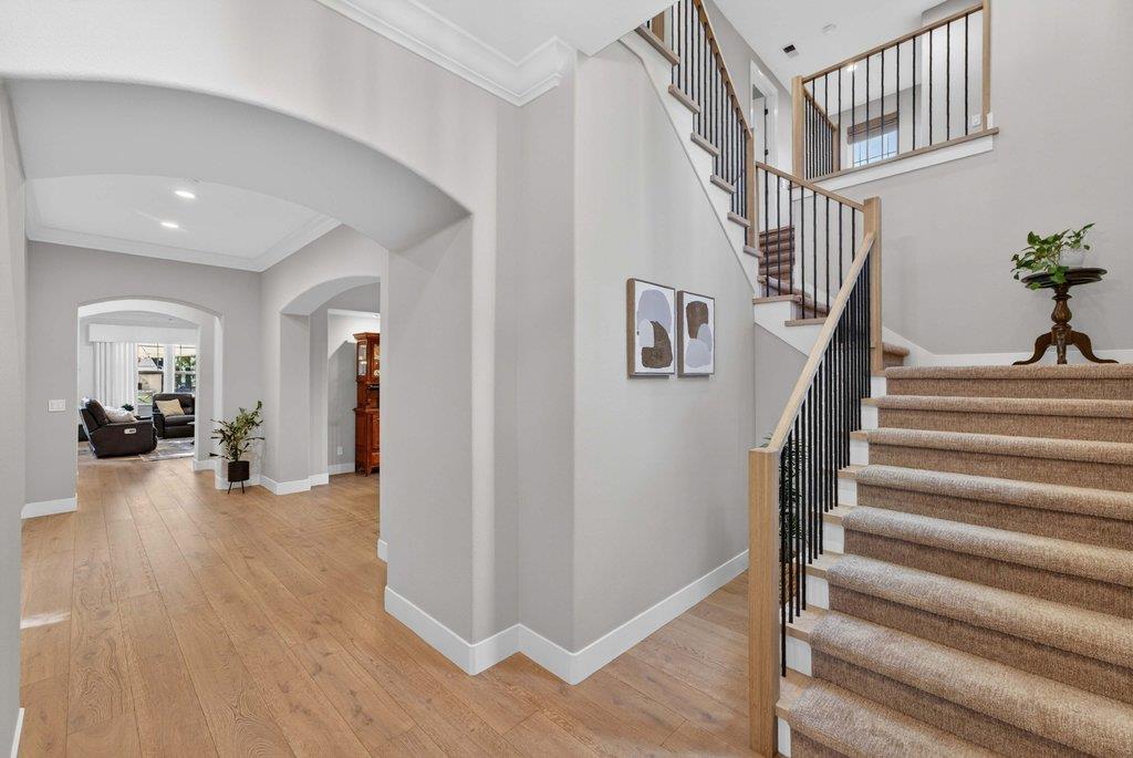 121 Palomino Way