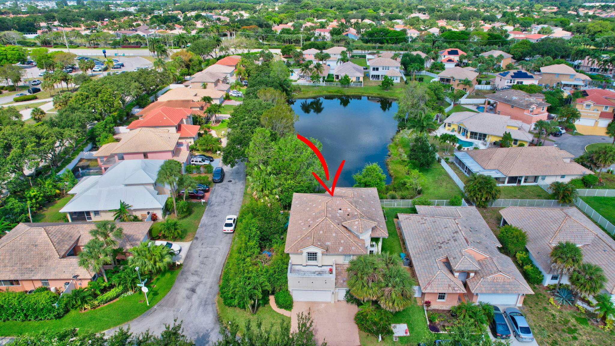 41 Citrus Park Drive