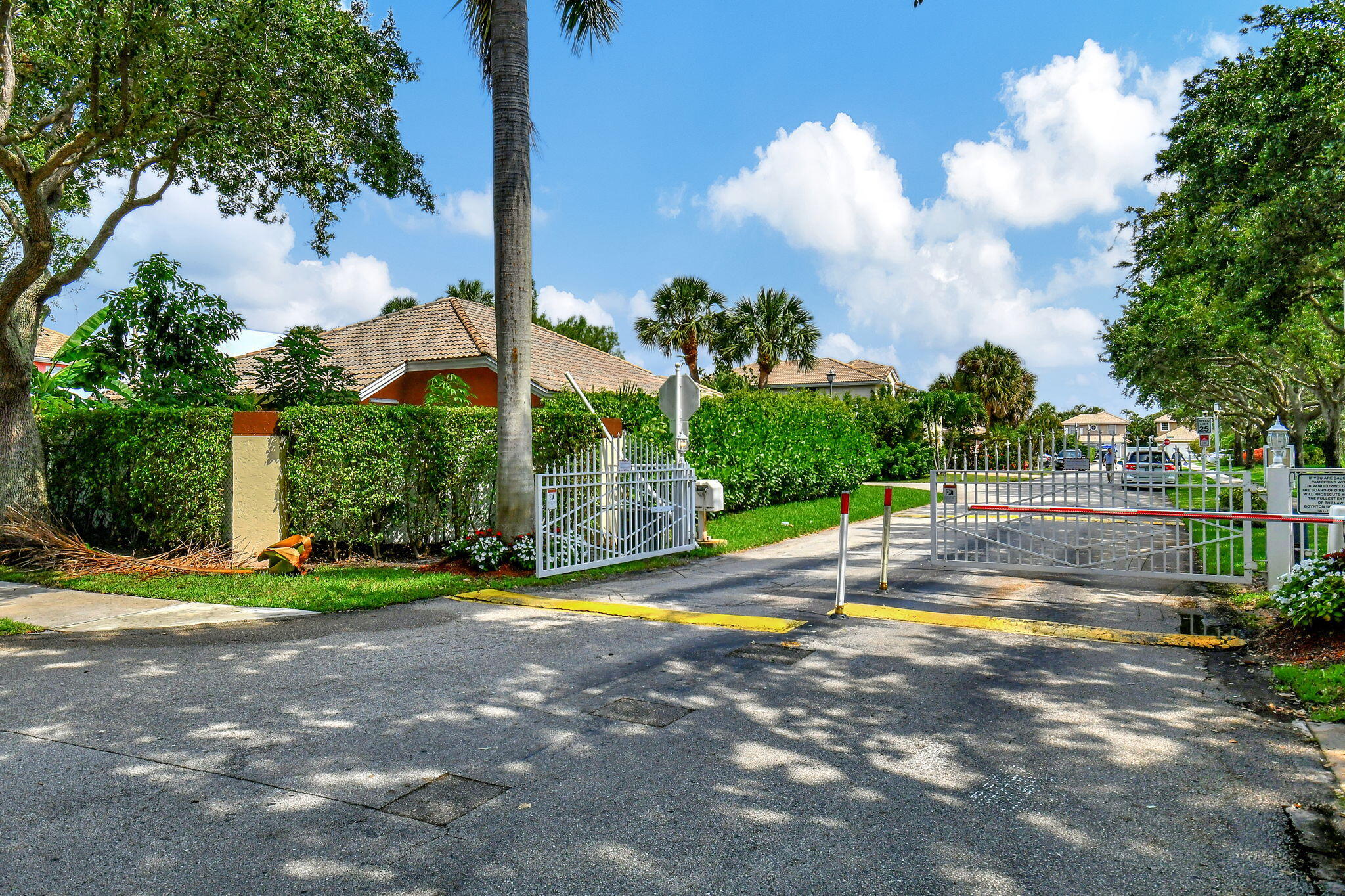 41 Citrus Park Drive