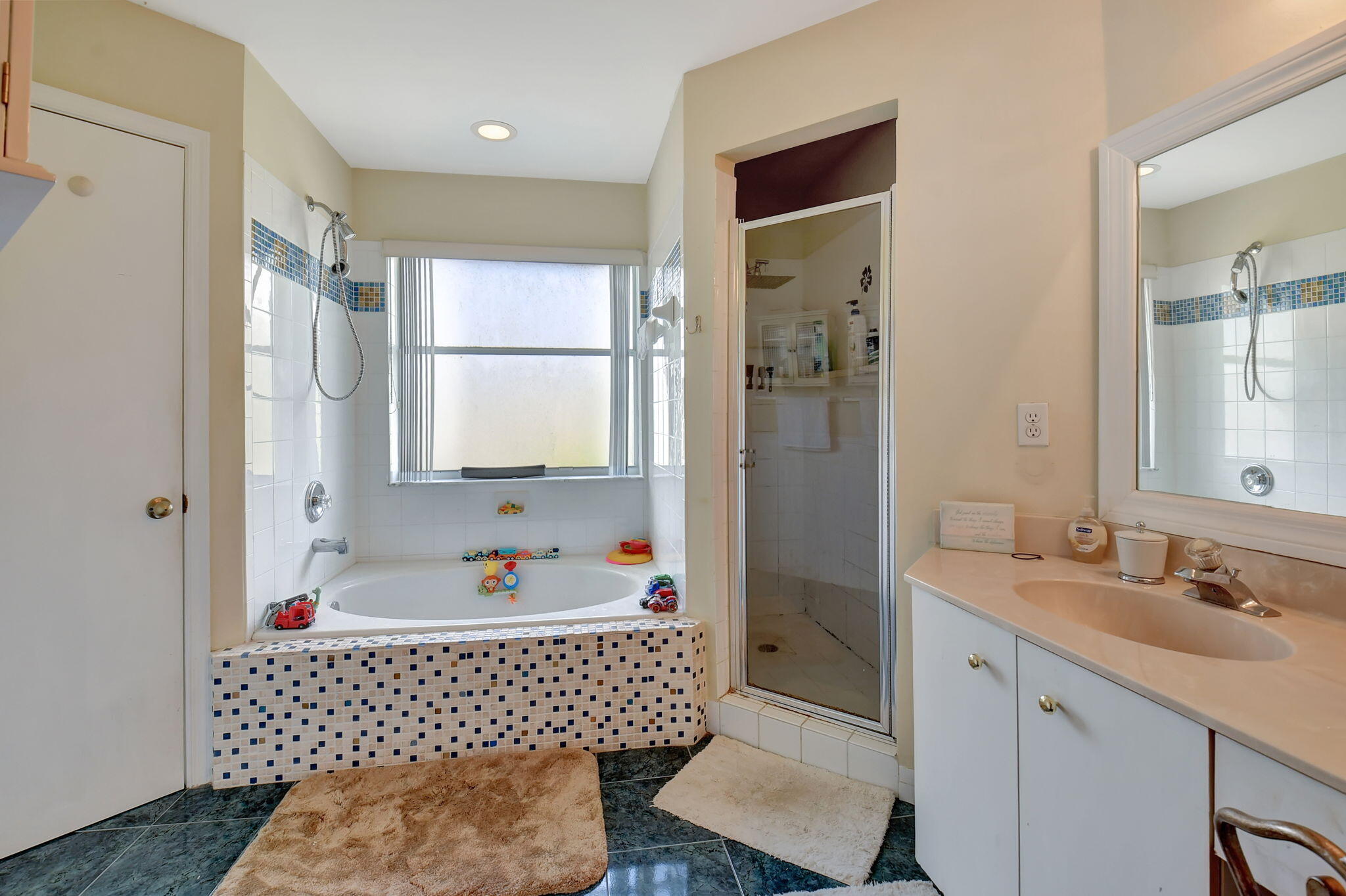 41 Citrus Park Drive