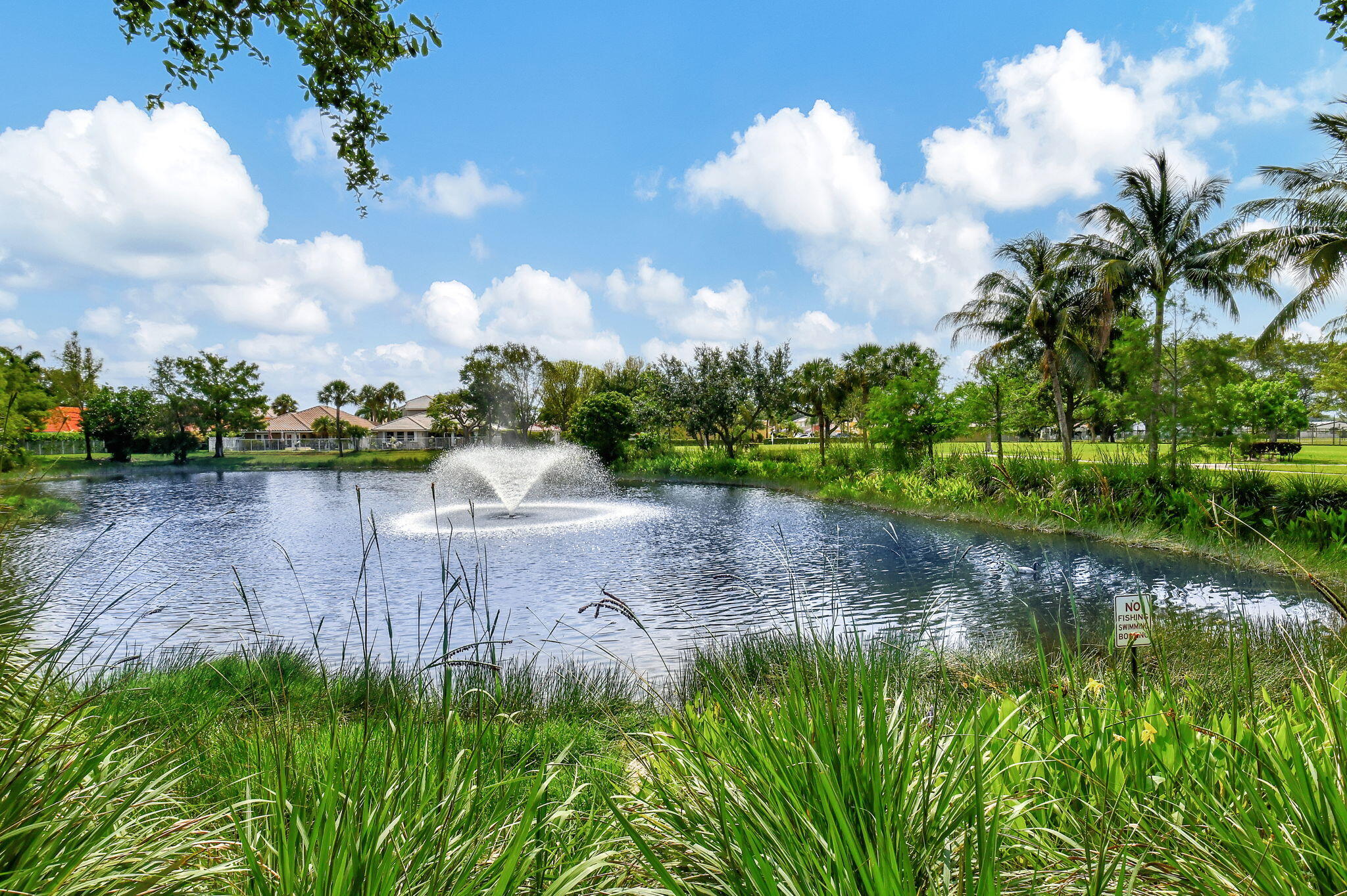 41 Citrus Park Drive